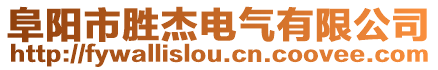 阜陽市勝杰電氣有限公司