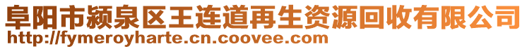 阜阳市颍泉区王连道再生资源回收有限公司