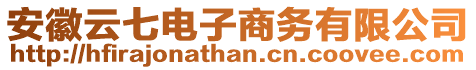 安徽云七電子商務(wù)有限公司