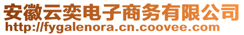 安徽云奕電子商務有限公司