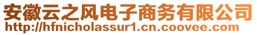 安徽云之風電子商務有限公司