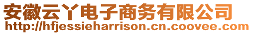 安徽云丫電子商務(wù)有限公司