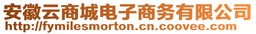 安徽云商城電子商務(wù)有限公司