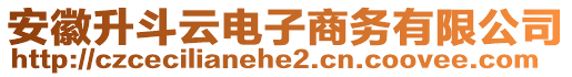 安徽升斗云電子商務(wù)有限公司