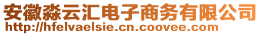 安徽淼云匯電子商務有限公司