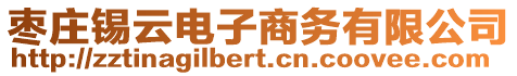 棗莊錫云電子商務有限公司