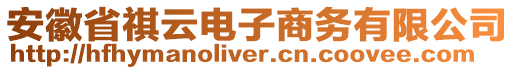 安徽省祺云電子商務(wù)有限公司