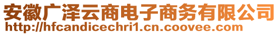 安徽广泽云商电子商务有限公司