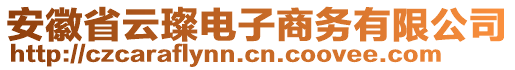 安徽省云璨電子商務(wù)有限公司