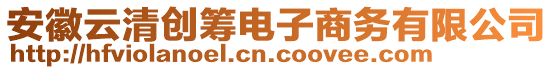 安徽云清創(chuàng)籌電子商務有限公司