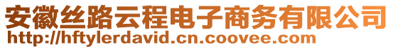 安徽絲路云程電子商務(wù)有限公司