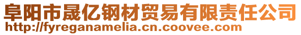 阜陽市晟億鋼材貿(mào)易有限責任公司