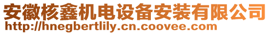 安徽核鑫機(jī)電設(shè)備安裝有限公司