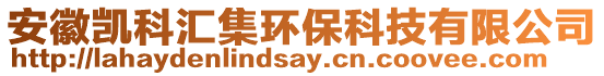 安徽凱科匯集環(huán)保科技有限公司