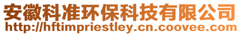 安徽科準(zhǔn)環(huán)保科技有限公司