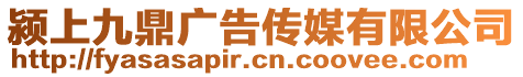 潁上九鼎廣告?zhèn)髅接邢薰? style=