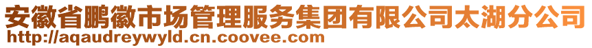 安徽省鵬徽市場(chǎng)管理服務(wù)集團(tuán)有限公司太湖分公司