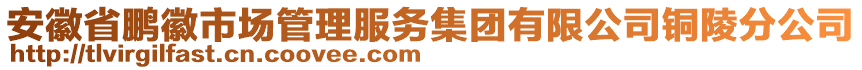 安徽省鵬徽市場管理服務(wù)集團(tuán)有限公司銅陵分公司