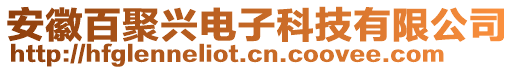 安徽百聚興電子科技有限公司