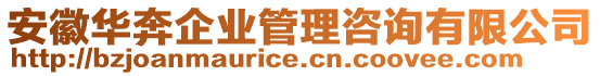 安徽华奔企业管理咨询有限公司