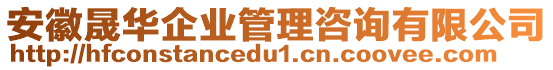 安徽晟華企業(yè)管理咨詢有限公司