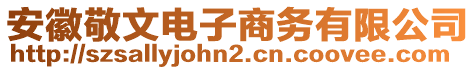 安徽敬文电子商务有限公司