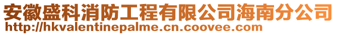 安徽盛科消防工程有限公司海南分公司