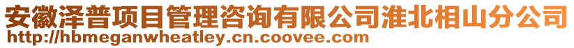 安徽澤普項目管理咨詢有限公司淮北相山分公司