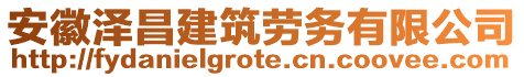 安徽澤昌建筑勞務(wù)有限公司