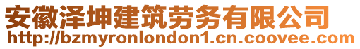 安徽澤坤建筑勞務(wù)有限公司