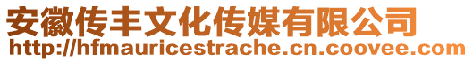 安徽傳豐文化傳媒有限公司