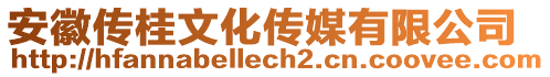 安徽傳桂文化傳媒有限公司