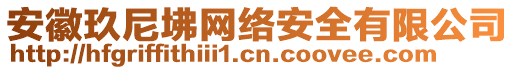 安徽玖尼坲網(wǎng)絡(luò)安全有限公司