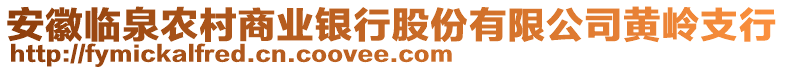 安徽臨泉農(nóng)村商業(yè)銀行股份有限公司黃嶺支行