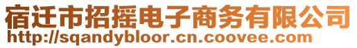 宿遷市招搖電子商務(wù)有限公司