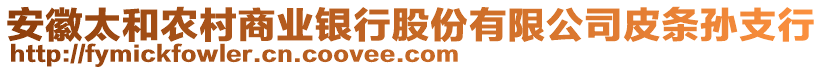 安徽太和農(nóng)村商業(yè)銀行股份有限公司皮條孫支行