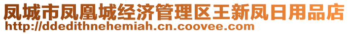 鳳城市鳳凰城經(jīng)濟(jì)管理區(qū)王新鳳日用品店