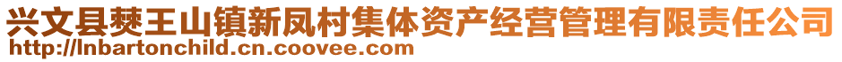 興文縣僰王山鎮(zhèn)新鳳村集體資產(chǎn)經(jīng)營管理有限責(zé)任公司