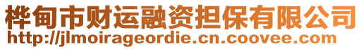 樺甸市財(cái)運(yùn)融資擔(dān)保有限公司