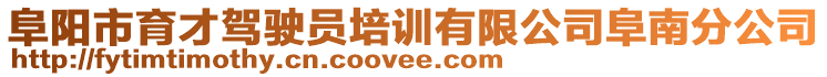 阜陽市育才駕駛員培訓(xùn)有限公司阜南分公司