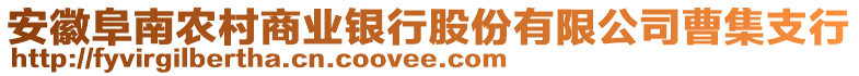安徽阜南農村商業銀行股份有限公司曹集支行