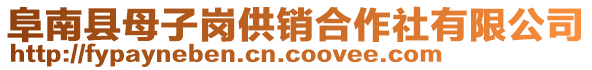 阜南縣母子崗供銷合作社有限公司