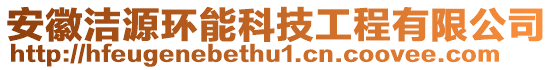 安徽潔源環(huán)能科技工程有限公司