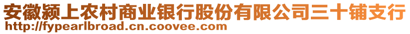 安徽潁上農(nóng)村商業(yè)銀行股份有限公司三十鋪支行