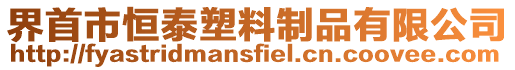 界首市恒泰塑料制品有限公司
