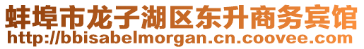 蚌埠市龍子湖區(qū)東升商務(wù)賓館