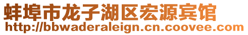 蚌埠市龍子湖區(qū)宏源賓館