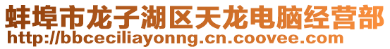 蚌埠市龍子湖區(qū)天龍電腦經(jīng)營部