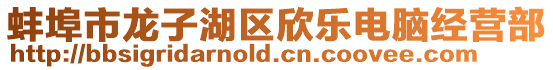 蚌埠市龍子湖區(qū)欣樂(lè)電腦經(jīng)營(yíng)部