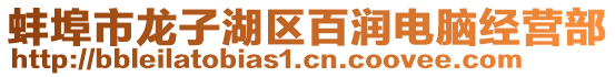 蚌埠市龍子湖區(qū)百潤電腦經營部